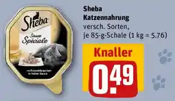 REWE Sheba Katzennahrung Angebot