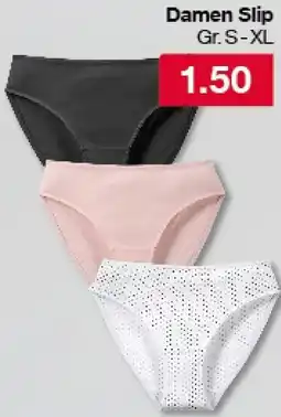 Woolworth Damen Slip Angebot
