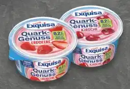 E-Center Exquisa Quark Genuss Angebot