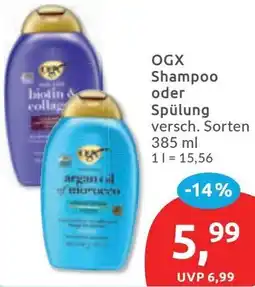 Budni OGX Shampoo oder Spülung Angebot