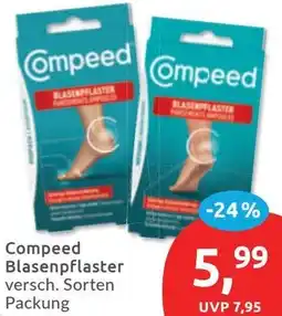 Budni Compeed Blasenpflaster Angebot
