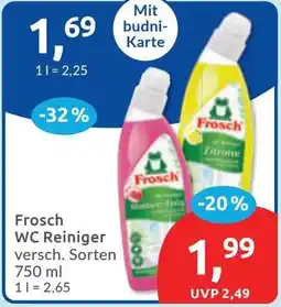 Budni Frosch WC Reiniger Angebot
