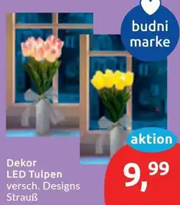Budni Dekor LED Tulpen Angebot