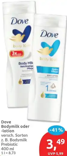 Budni Dove Bodymilk oder -lotion Angebot