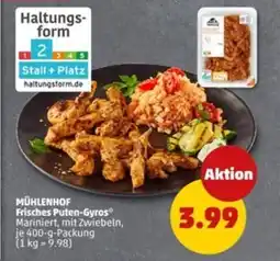 PENNY Mühlenhof frisches puten gyros Angebot