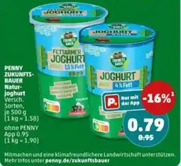PENNY Penny zukunfts bauer natur joghurt Angebot