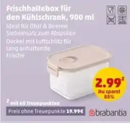 PENNY Brabantia Frischhaltebox für den Kühlschrank Angebot