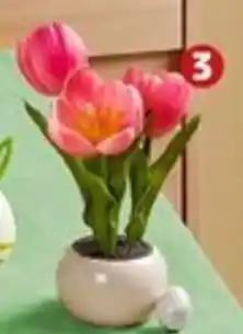 PENNY Home ideas seasons Led tulpen im topf Angebot