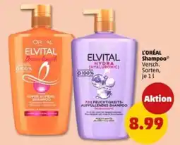 PENNY L'oréal shampoo Angebot