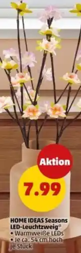 PENNY Home ideas seasons led-leuchtzweig Angebot
