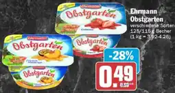 AEZ Ehrmann Obstgarten Angebot