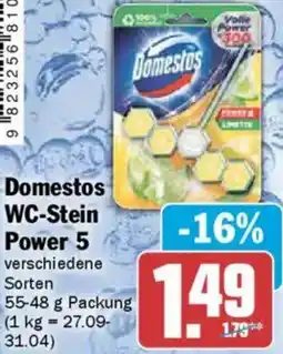 AEZ Domestos WC-Stein Power 5 Angebot