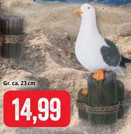 Stolz Tony Brown by STOLZ Möwe Angebot