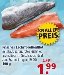 Multi Markt Frisches Lachsforellenfilet Angebot