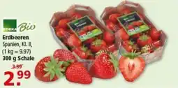 Multi Markt EDEKA Bio Erdbeeren Angebot