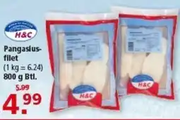 Multi Markt H&C Pangasiusfilet Angebot