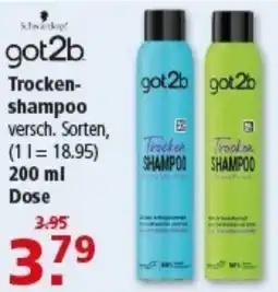 Multi Markt got2b Trocken shampoo Angebot