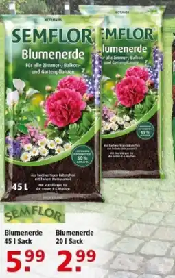Multi Markt SEMFLOR Blumenerde Angebot