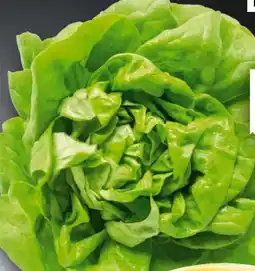 Handelshof Kopfsalat Angebot