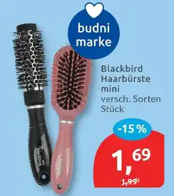 Budni Budni marke blackbird haarbürste mini Angebot