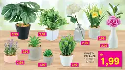 KODi KUNST- PFLANZE Angebot