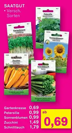 KODi SAATGUT Angebot