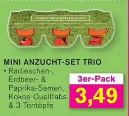 KODi MINI ANZUCHT-SET TRIO 3er-Pack Angebot