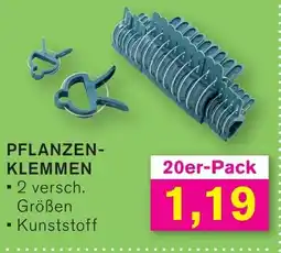 KODi PFLANZEN- KLEMMEN Angebot