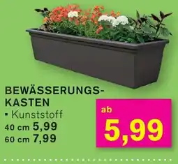 KODi BEWÄSSERUNGS- KASTEN Angebot