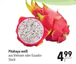 CITTI Markt Pitahaya weiß Angebot