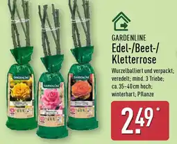 Aldi Nord GARDENLINE Edel/Beet/ Kletterrose Angebot