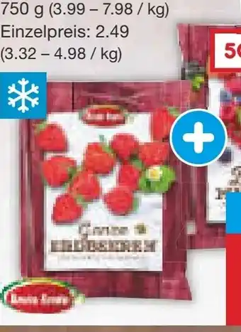 Netto Marken-Discount Obstmischungen Angebot