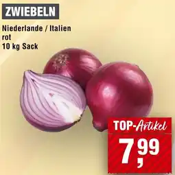 Handelshof Zwiebeln Angebot