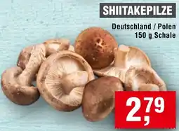 Handelshof Shiitakepilze Angebot