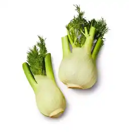 Kaufland Fenchel Angebot