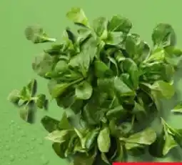 Kaufland Feldsalat Angebot