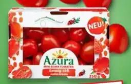Kaufland Azura Mini Romatomaten Angebot
