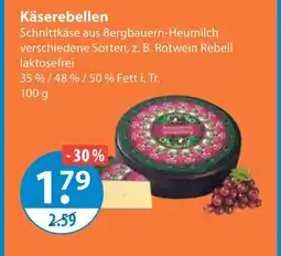 V Markt Käserebellen Angebot