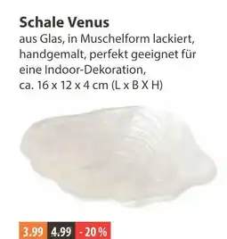 V Markt Schale venus Angebot