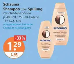 V Markt Schauma shampoo oder spülung Angebot