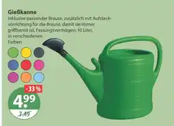 V Markt Gießkanne Angebot
