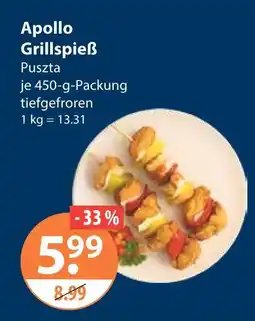 V Markt Apollo grillspieß Angebot