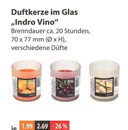 V Markt Duftkerze im glas indro vino Angebot