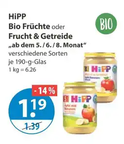V Markt Hipp bio früchte oder frucht & getreide Angebot