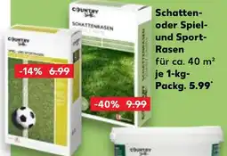 Kaufland Schattenrasen Angebot