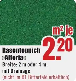 B1 Discount Baumarkt Rasenteppich Alteria Angebot