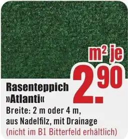 B1 Discount Baumarkt Rasenteppich Atlanti Angebot