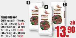 B1 Discount Baumarkt Piniendekor Angebot