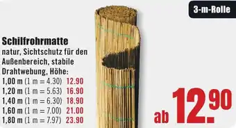 B1 Discount Baumarkt Schilfrohrmatte Angebot