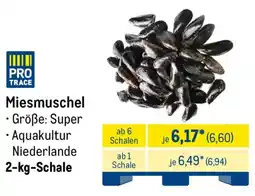 METRO Miesmuschel Angebot